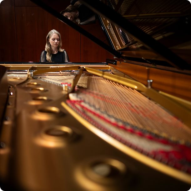 View from inside grand piano showing strings and hammers